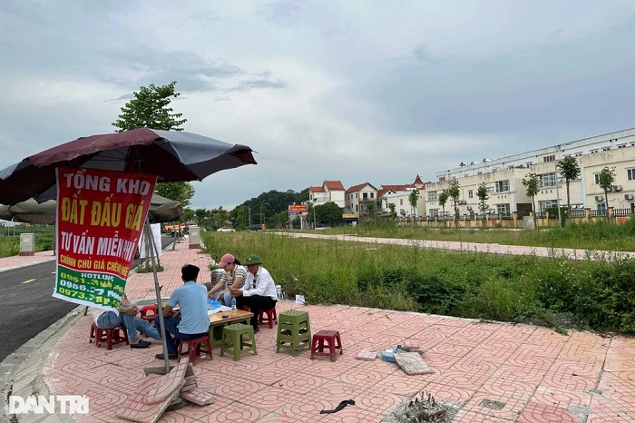 Chính phủ yêu cầu xử lý nghiêm hành vi đầu cơ, thổi giá bất động sản